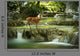 Deer Waterfall