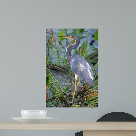 Blue Heron Wall Mural
