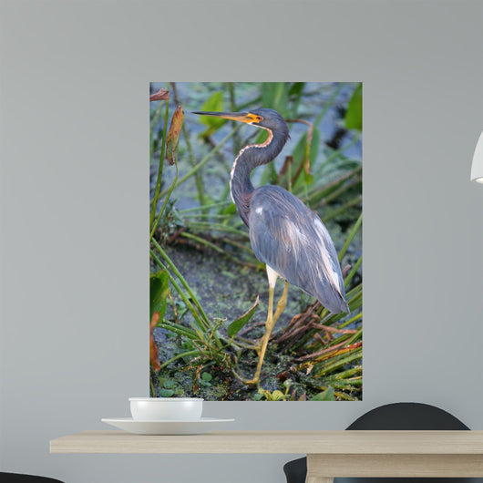 Blue Heron Wall Mural