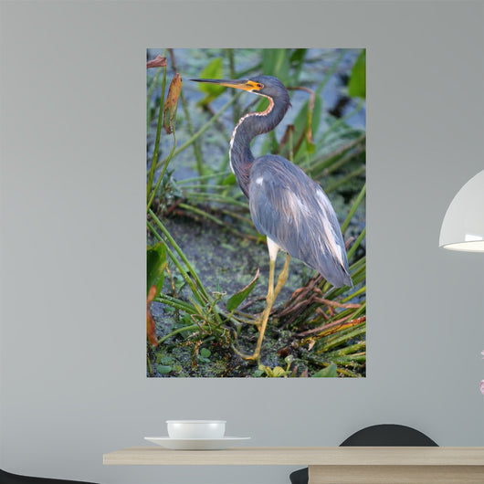 Blue Heron Wall Mural