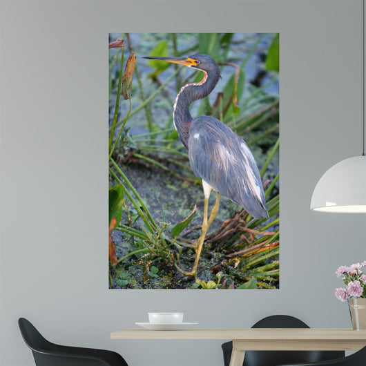 Blue Heron Wall Mural