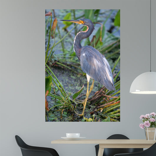 Blue Heron Wall Mural