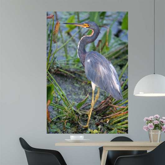 Blue Heron Wall Mural