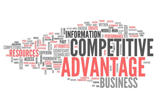 Word Cloud Competitive Advantage