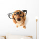 Funny Dachshund. Wall Decal