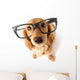 Funny Dachshund. Wall Decal