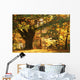 Majestic Old Tree Wall Mural