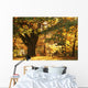 Majestic Old Tree Wall Mural