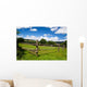 Wooden Fence Green Pasture