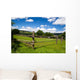 Wooden Fence Green Pasture