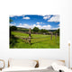 Wooden Fence Green Pasture