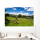 Wooden Fence Green Pasture