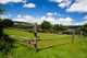 Wooden Fence Green Pasture
