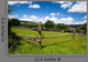 Wooden Fence Green Pasture