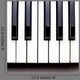 Piano Key