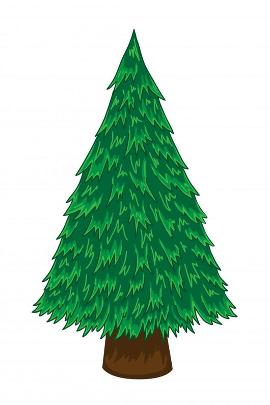Pine Tree