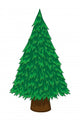 Pine Tree