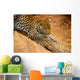 Leopard Wall Mural