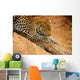 Leopard Wall Mural