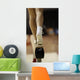 Gymnastic Wall Mural