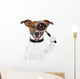Dog with Magnifying Glass