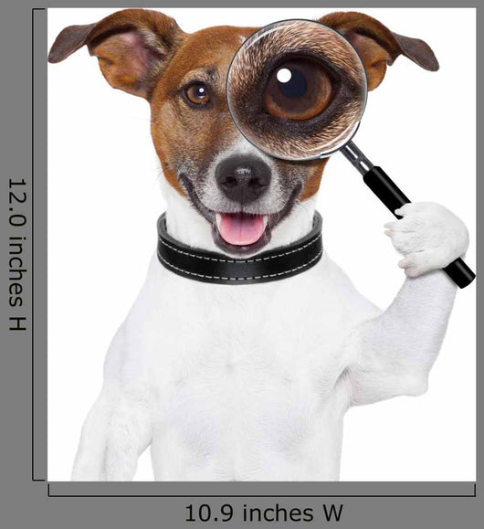Dog with Magnifying Glass