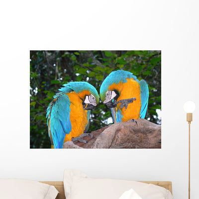 Love Birds Wall Mural shown on a wall