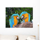 Love birds Wall Mural