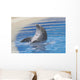 Dolphin Playing Wall Mural