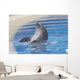 Dolphin Playing Wall Mural