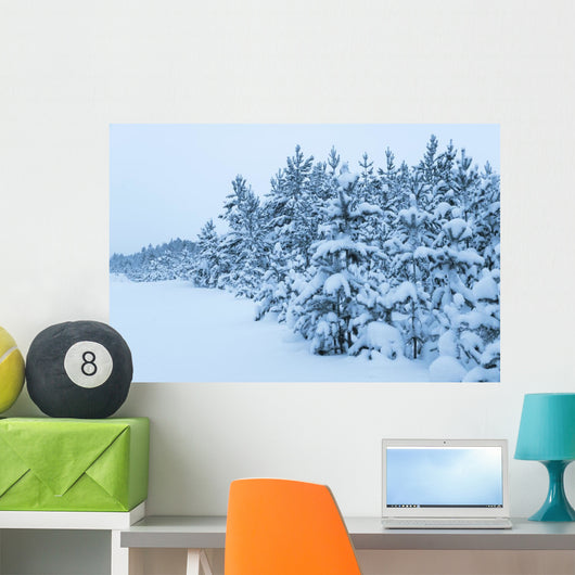 Snowy Forest