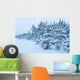 Snowy Forest