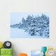 Snowy Forest