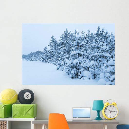 Snowy Forest