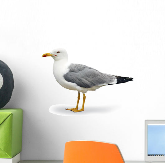 Seagull Wall Decal