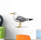 Seagull Wall Decal
