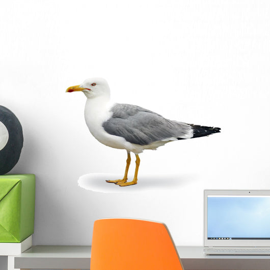Seagull Wall Decal