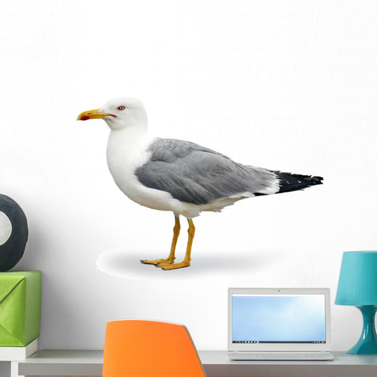 Seagull Wall Decal
