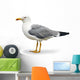 Seagull Wall Decal