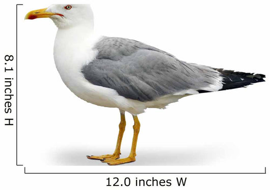 Seagull Wall Decal