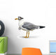 Venturesome Seagull Wall Decal