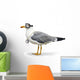 Venturesome Seagull Wall Decal