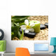 Thermo-therapy Stones with Orchids