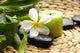Thermo-therapy Stones with Orchids