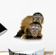 Two Baby Monkeys Wall Decal