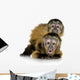 Two Baby Monkeys Wall Decal