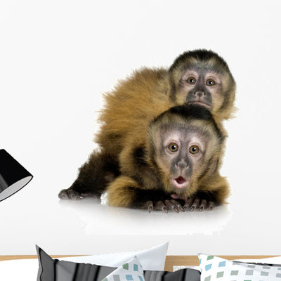 Two Baby Monkeys Wall Decal shown on a wall
