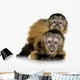 Two Baby Monkeys Wall Decal