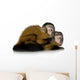 Two Baby Capuchins Sapajou Wall Decal