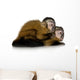 Two Baby Capuchins Sapajou Wall Decal
